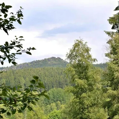 Comfort With Balcony In The Beautiful Bavarian Forest Holiday home