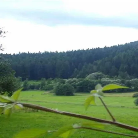 Holiday home Comfort With Balcony In The Beautiful Bavarian Forest Drachselsried