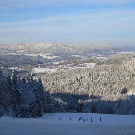 Comfort With Balcony In The Beautiful Bavarian Forest *