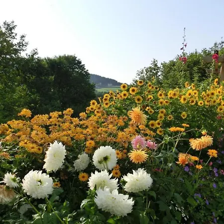 Comfort With Balcony In The Beautiful Bavarian Forest Holiday home Drachselsried