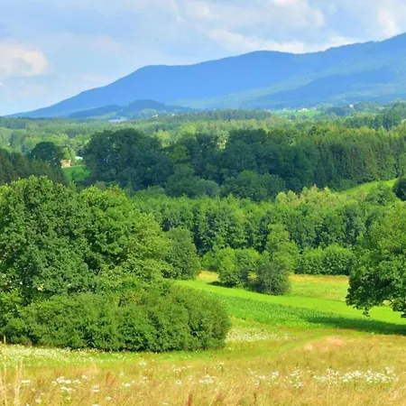 Holiday home Comfort With Balcony In The Beautiful Bavarian Forest *