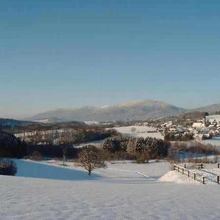 Holiday home Comfort With Balcony In The Beautiful Bavarian Forest Drachselsried