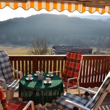 Comfort With Balcony In The Beautiful Bavarian Forest Holiday home *