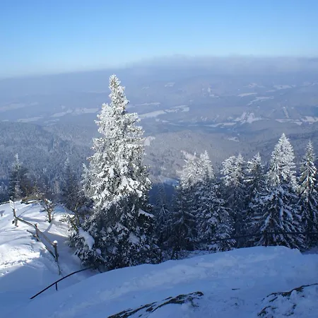 Comfort With Balcony In The Beautiful Bavarian Forest