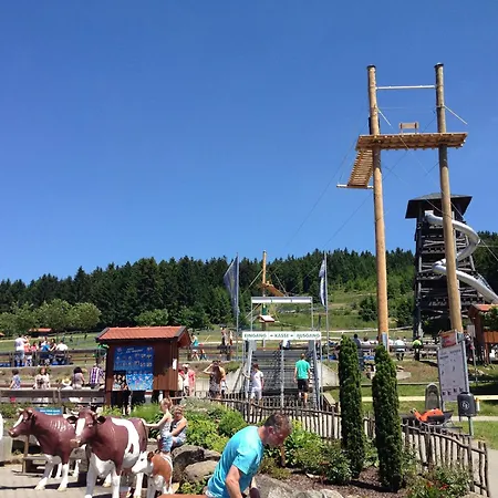 Holiday home Comfort With Balcony In The Beautiful Bavarian Forest Drachselsried