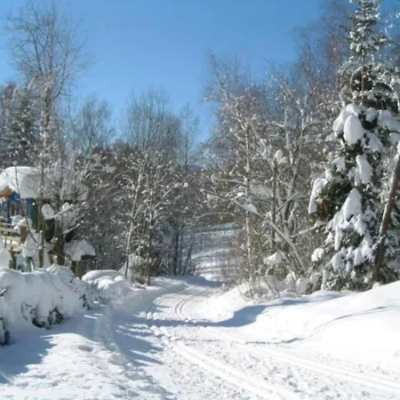Holiday home Comfort With Balcony In The Beautiful Bavarian Forest *