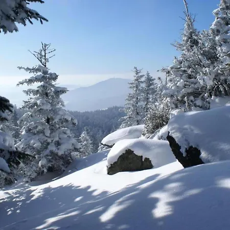 Comfort With Balcony In The Beautiful Bavarian Forest Apartment