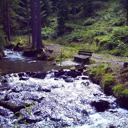 Apartment Comfort With Balcony In The Beautiful Bavarian Forest Drachselsried