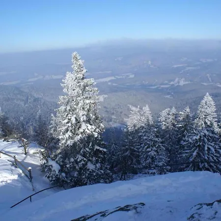 Apartment Comfort With Balcony In The Beautiful Bavarian Forest