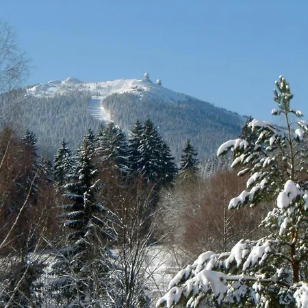 Apartment Comfort With Balcony In The Beautiful Bavarian Forest