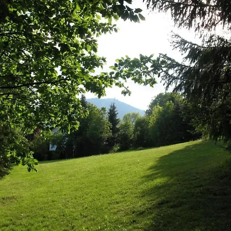 Apartment Comfort With Balcony In The Beautiful Bavarian Forest *