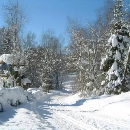 Comfort With Balcony In The Beautiful Bavarian Forest * Drachselsried