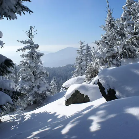 Apartment Comfort With Balcony In The Beautiful Bavarian Forest *