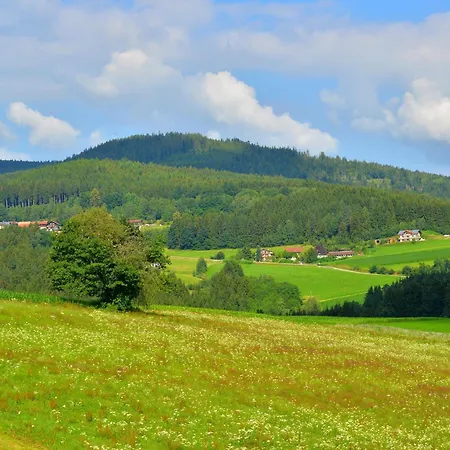 Comfort With Balcony In The Beautiful Bavarian Forest Drachselsried